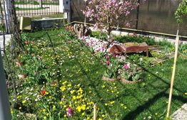 Casa 6 camere, 250 mp, zona Luncani