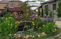 Casa 6 camere, 250 mp, zona Luncani