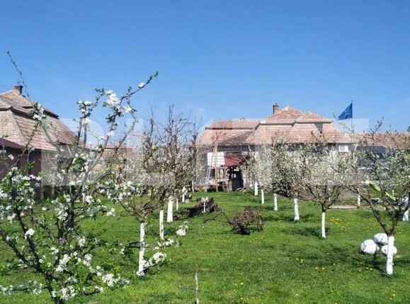 Casa de vânzare 6 camere Floreşti - 172357CV | BLITZ Cluj-Napoca | Poza4