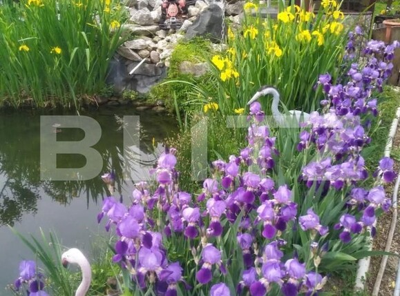 Casa de vânzare 6 camere Floreşti - 172357CV | BLITZ Cluj-Napoca | Poza7