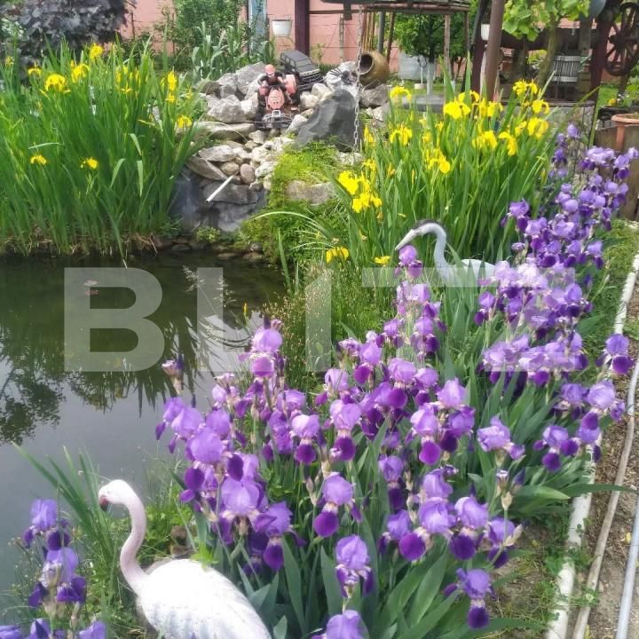 Casa de vânzare 6 camere Floreşti - 172357CV | BLITZ Cluj-Napoca | Poza15