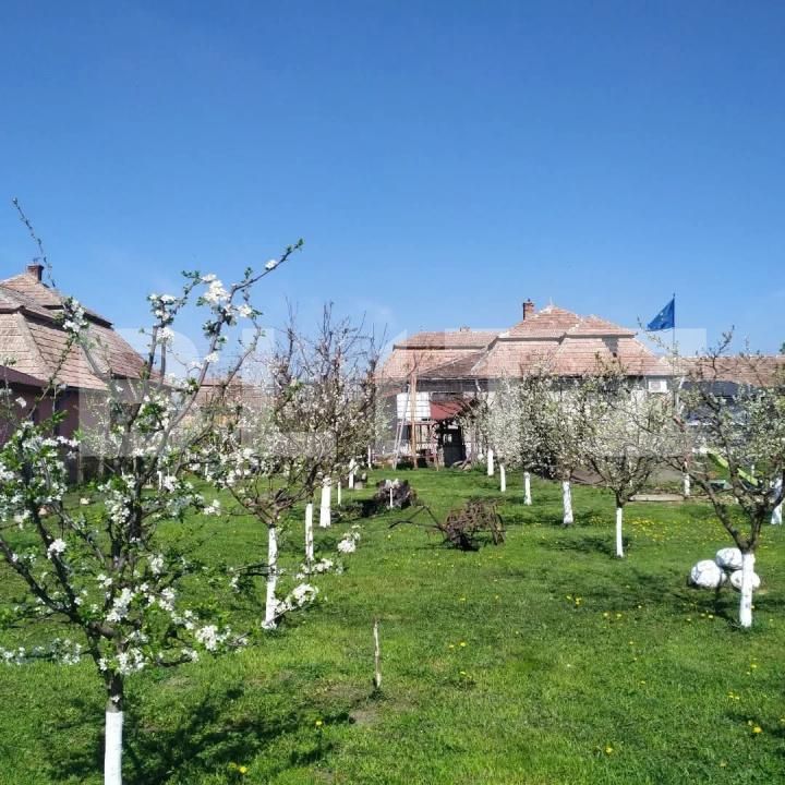 Casa de vânzare 6 camere Floreşti - 172357CV | BLITZ Cluj-Napoca | Poza12