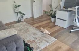 Apartament 3 camere, zona suberba, Teilor