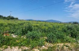 Teren extravilan, 1203 mp pretabil pentru investitie ,casa pe piloni ,container 