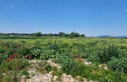 Teren extravilan, 1203 mp pretabil pentru investitie ,casa pe piloni ,container 