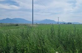 Teren extravilan, 1203 mp pretabil pentru investitie ,casa pe piloni ,container 