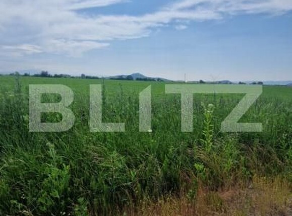 Teren de vânzare Harman - 172480TV | BLITZ Brașov | Poza4