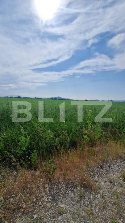Teren de vânzare Harman - 172480TV | BLITZ Brașov | Poza4