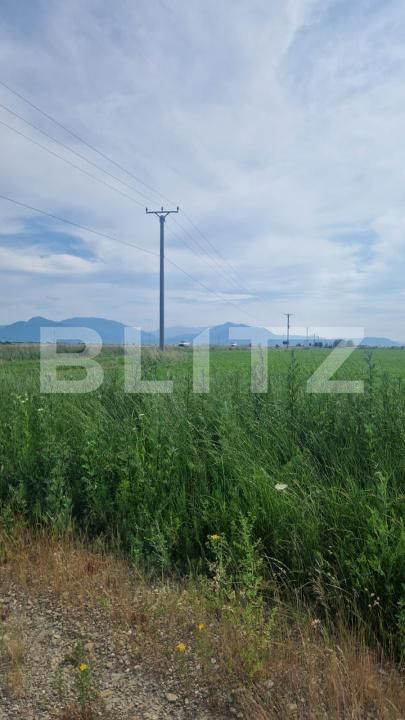 Teren de vânzare Harman - 172480TV | BLITZ Brașov | Poza1