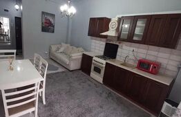 Apartament cu 2 camere, modern, zona Centrala