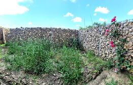 Apartament modern/lux cu 2 camere, 57 mp, gradina de 30 mp, parcare, Tineretului