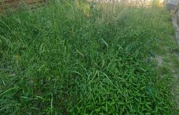 Triplex cu 3 camere, 84 mp utili, 40 mp de teren, zona Eroilor