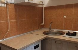 Garsoniera, centrala proprie, zona strazii Fabricii