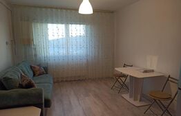 Garsoniera, centrala proprie, zona strazii Fabricii