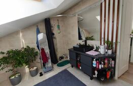 Apartament Complet Mobilat si Utilat, Subcetate