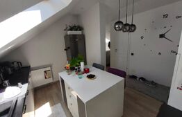 Apartament Complet Mobilat si Utilat, Subcetate