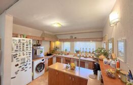 Cladire multifunctionala, pensiune plus casa,  parcari private