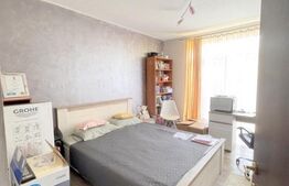 Cladire multifunctionala, pensiune plus casa,  parcari private