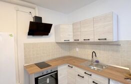 Cladire multifunctionala, pensiune plus casa,  parcari private