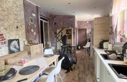 Cladire multifunctionala, pensiune plus casa,  parcari private