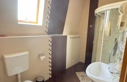 Cladire multifunctionala, pensiune plus casa,  parcari private