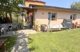 Cladire multifunctionala, pensiune plus casa,  parcari private