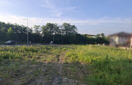 Teren construibil, 492 mp, PUZ aprobat, in zona strazii Mihai Romanul