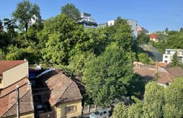 Apartament 2 dormitoare separat,  70 mp, pet friendly, zona  Parcul Babes