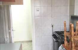 Apartament 2 camere, 56 mp, demisol inalt, zona strazii Horea