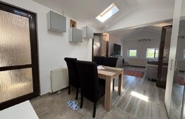 Apartament de 3 camere in zona Campului 