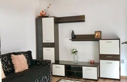 Duplex la prima inchiriere, 5 camere, garaj, terasa, zona Auchan Iris