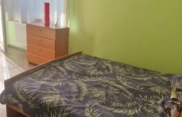 Apartament de 49 mp cu vedere la padure - zona Florilor