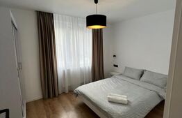 Apartament lux, 2 camere, 55 mp, Centru, Piata Mihai Viteazu