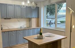 Apartament lux, 2 camere, 55 mp, Centru, Piata Mihai Viteazu