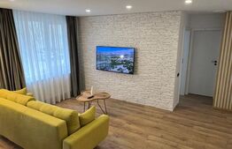 Apartament lux, 2 camere, 55 mp, Centru, Piata Mihai Viteazu