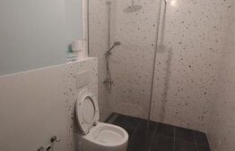 Apartament de 2 camere cu gradina, Beta Residence