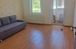 Apartament cu 2 camere de vânzare – Tineretului, zonă liniștită, aproape de parc