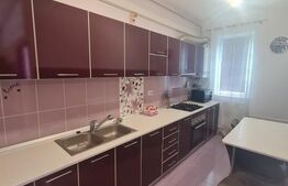 Apartament cu 3 camere, 65 mp, mobilat si utilat, parcare, zona Stadionului