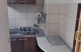 Garsoniera, 31 mp, zona Big