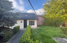 Casa de inchiriat in centru, 50 mp, zona Mihai Viteazul