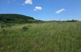 Teren potrivit pentru investitie in zona complexului Domeniul Regilor.