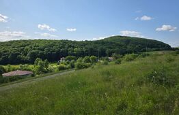 Teren potrivit pentru investitie in zona complexului Domeniul Regilor.