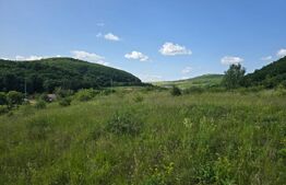 Teren potrivit pentru investitie in zona complexului Domeniul Regilor.