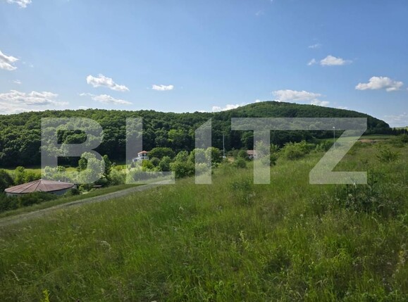 Teren de vânzare Iris - 172941TV | BLITZ Cluj-Napoca | Poza4