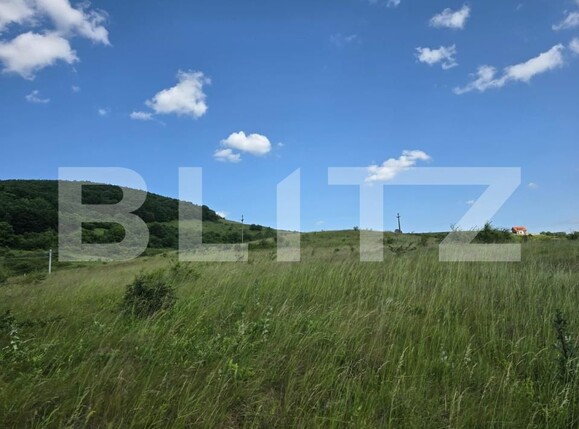 Teren de vânzare Iris - 172941TV | BLITZ Cluj-Napoca | Poza2