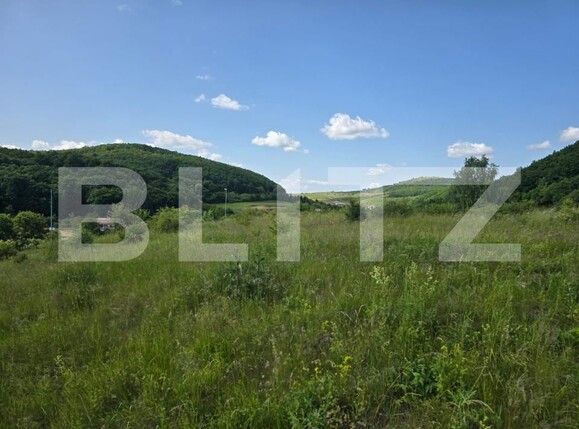 Teren de vânzare Iris - 172941TV | BLITZ Cluj-Napoca | Poza5