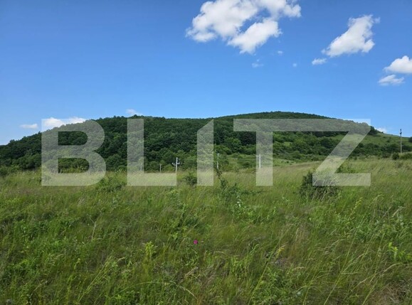 Teren de vânzare Iris - 172941TV | BLITZ Cluj-Napoca | Poza1