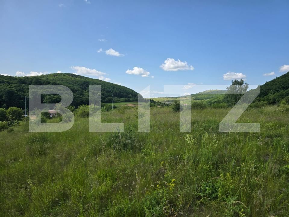 Teren de vânzare Iris - 172941TV | BLITZ Cluj-Napoca | Poza5