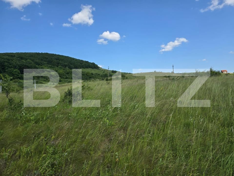 Teren de vânzare Iris - 172941TV | BLITZ Cluj-Napoca | Poza3