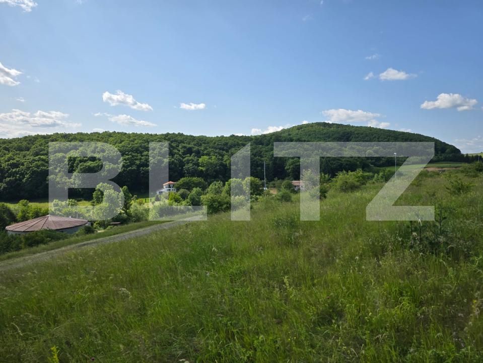 Teren de vânzare Iris - 172941TV | BLITZ Cluj-Napoca | Poza4